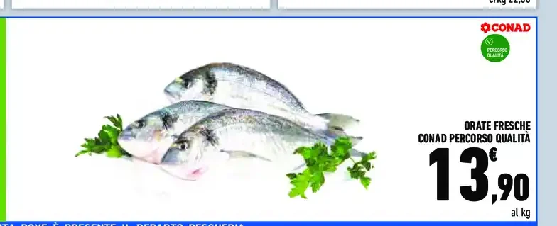 Orate fresche