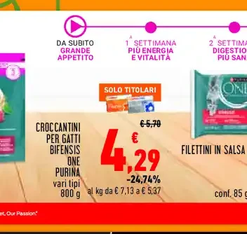 Croccantini per gatti Bifensis One Purina