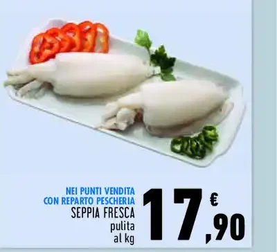 Seppia fresca pulita
