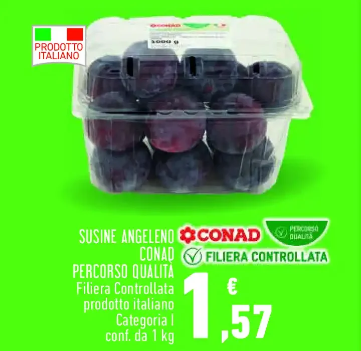 Susine Angeleno Conad