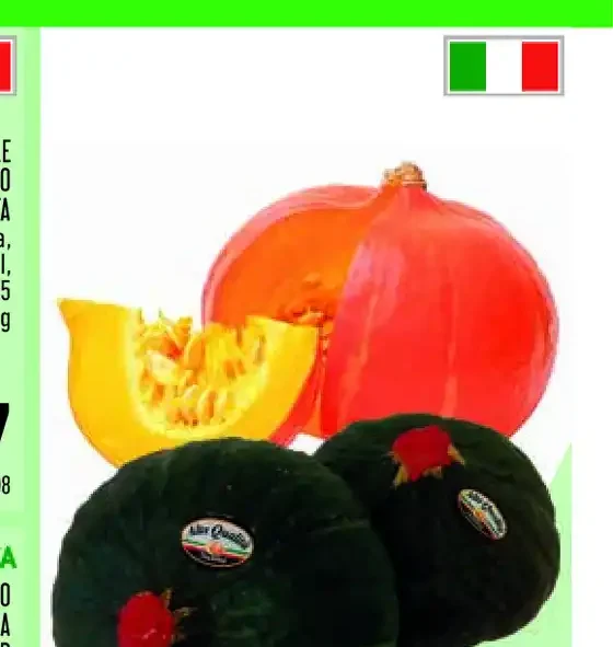 Zucca Delica Hokkaido