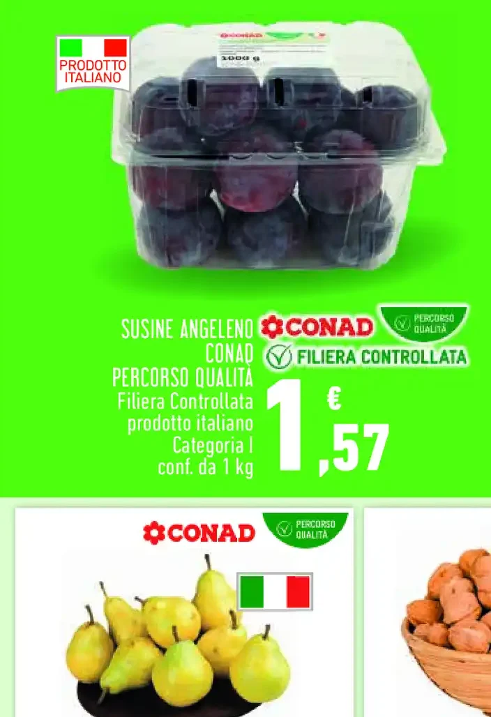 Susine Angeleno Conad