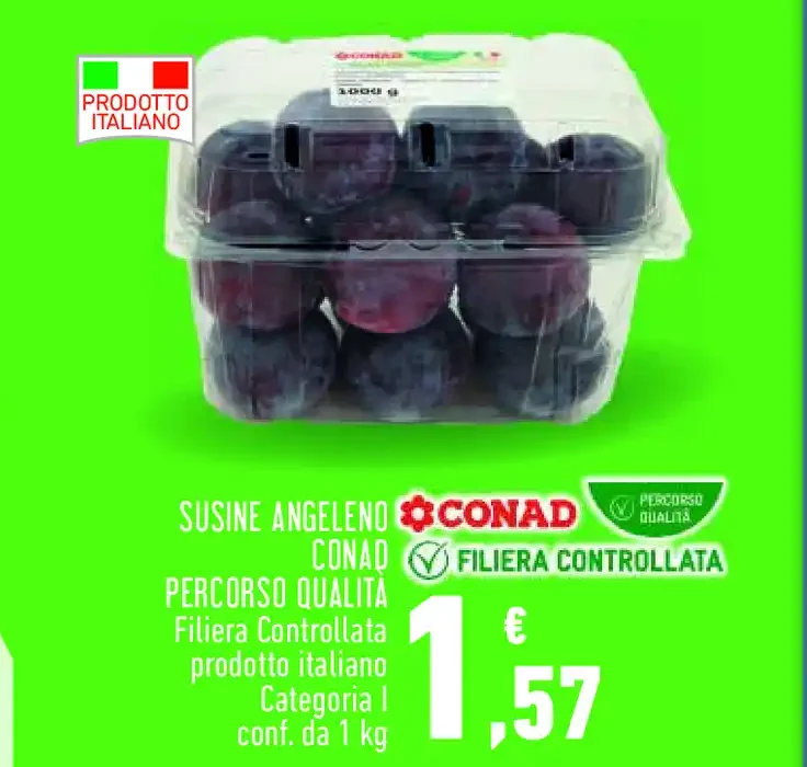 Susine Angeleno Conad