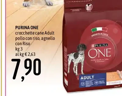 Crocchette cane Adult pollo con riso