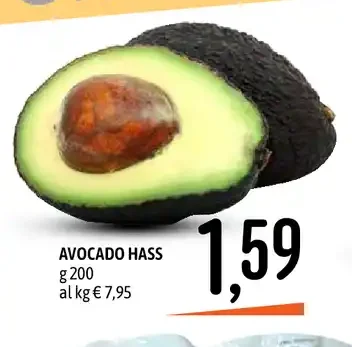 Avocado Hass