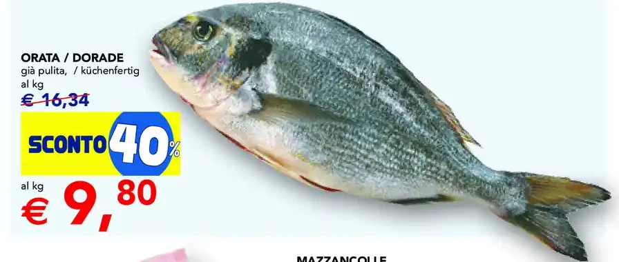 Orata