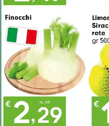 Finocchi
