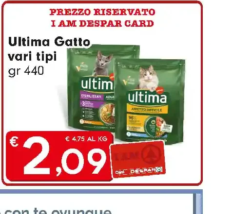 Ultima Gatto
