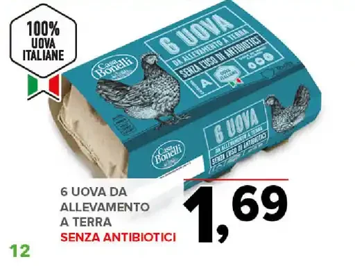 Uova da allevamento a terra