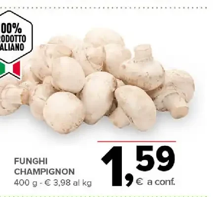 Funghi champignon