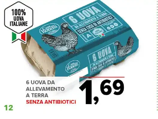 Uova da allevamento a terra