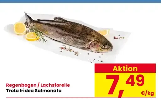 Trota iridea salmonata