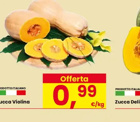 Zucca Violina