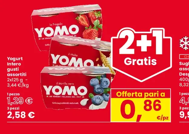 Yogurt intero assortito