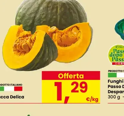 Zucca Delica