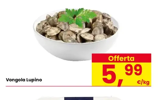 Vongola lupino