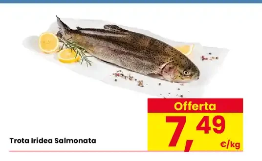 Trota iridea salmonata