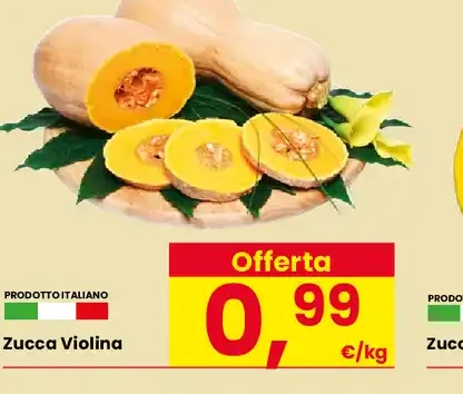 Zucca Violina