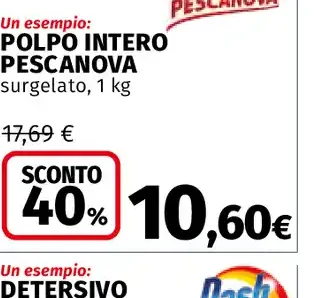 Polpo intero