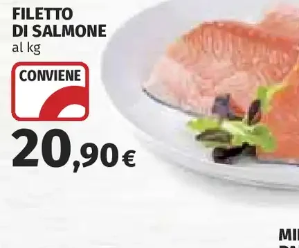 Filetto di salmone
