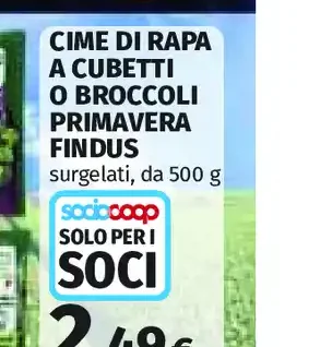 Cime di rapa a cubetti o broccoli primavera Findus