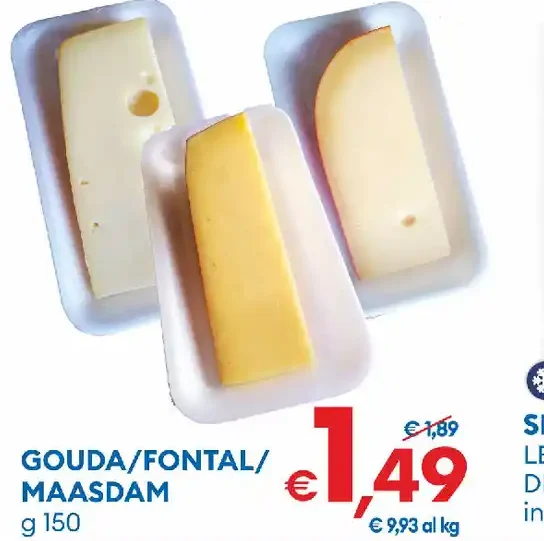 Gouda/fontal/maasdam