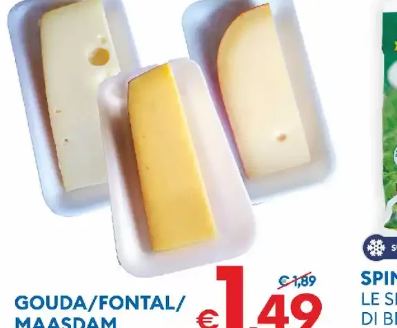 Gouda/Fontal/Maasdam