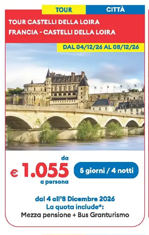 Tour Castelli della Loira Francia