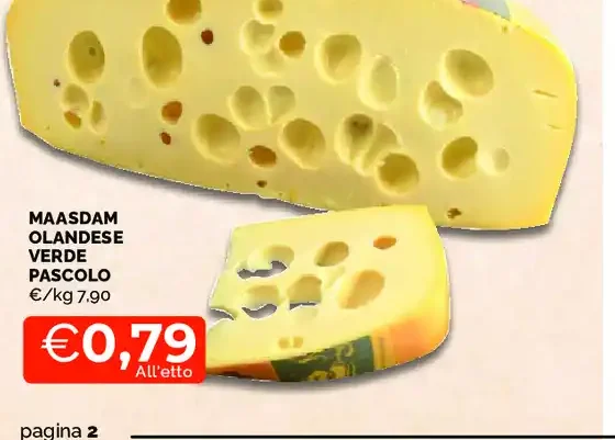 Maasdam olandese verde pascolo