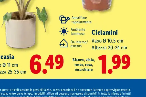 Scarponcini da bambino