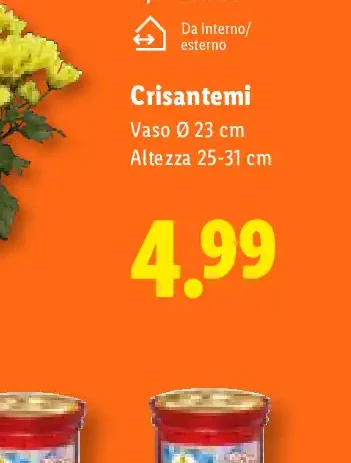 Crisantemi