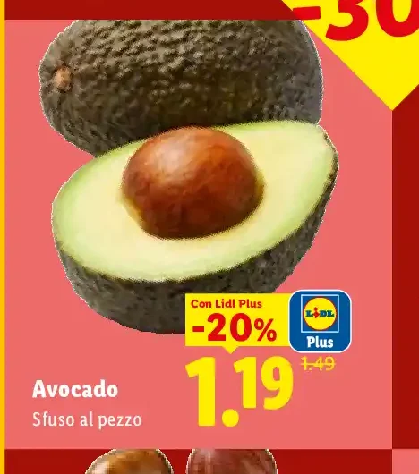 Avocado