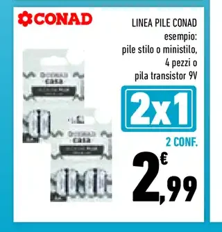 Pile Conad
