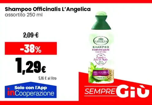 Shampoo Officinalis L’Angelica