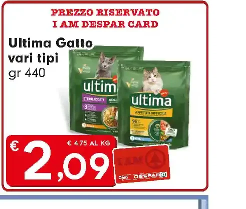 Ultima Gatto