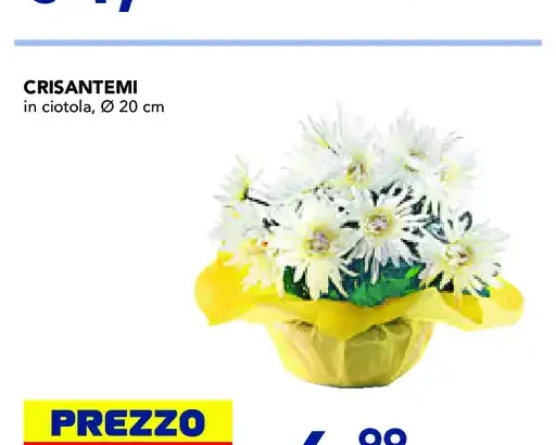 Crisantemi