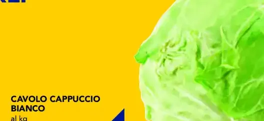 Cavolo cappuccio bianco