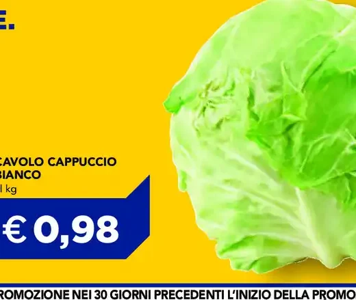 Cavolo Cappuccio Bianco