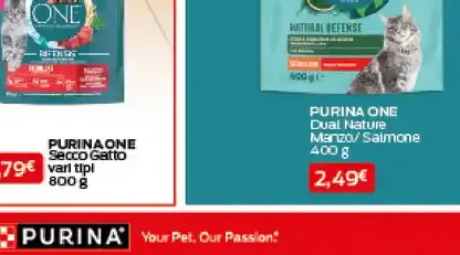 Purina One secco gatto
