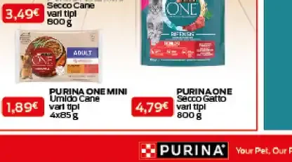 Purina One Mini umido cane