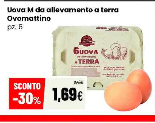 Uova da allevamento a terra