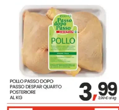 Pollo