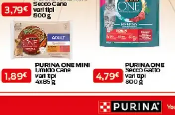 Cibo umido per cani