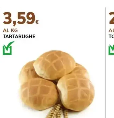 Tartarughe
