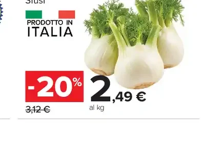 Finocchi