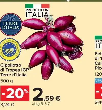Cipollotto di Tropea IGP Terre d’Italia