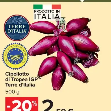 Cipollotto di Tropea IGP Terre d’Italia