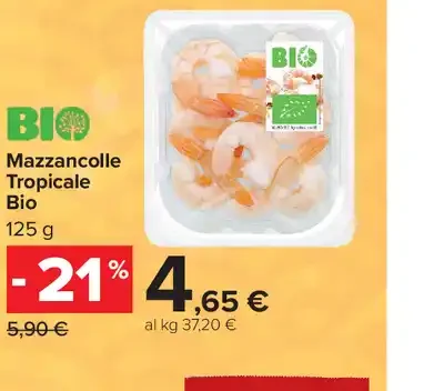 Mazzancolle Tropicale Bio