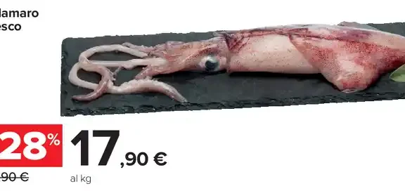 Calamaro fresco