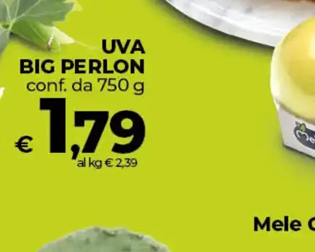 Uva Big Perlon
